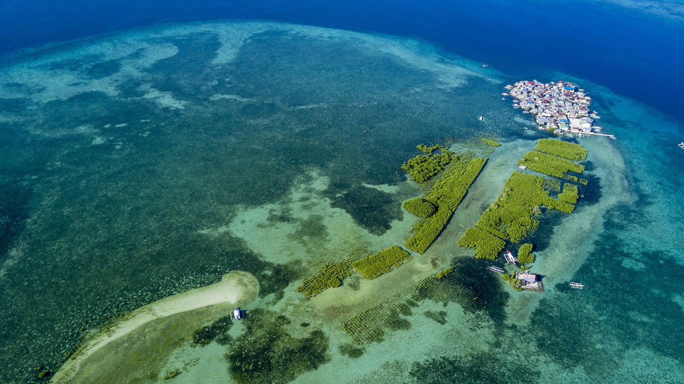 The Integrated Ocean Carbon Research Report