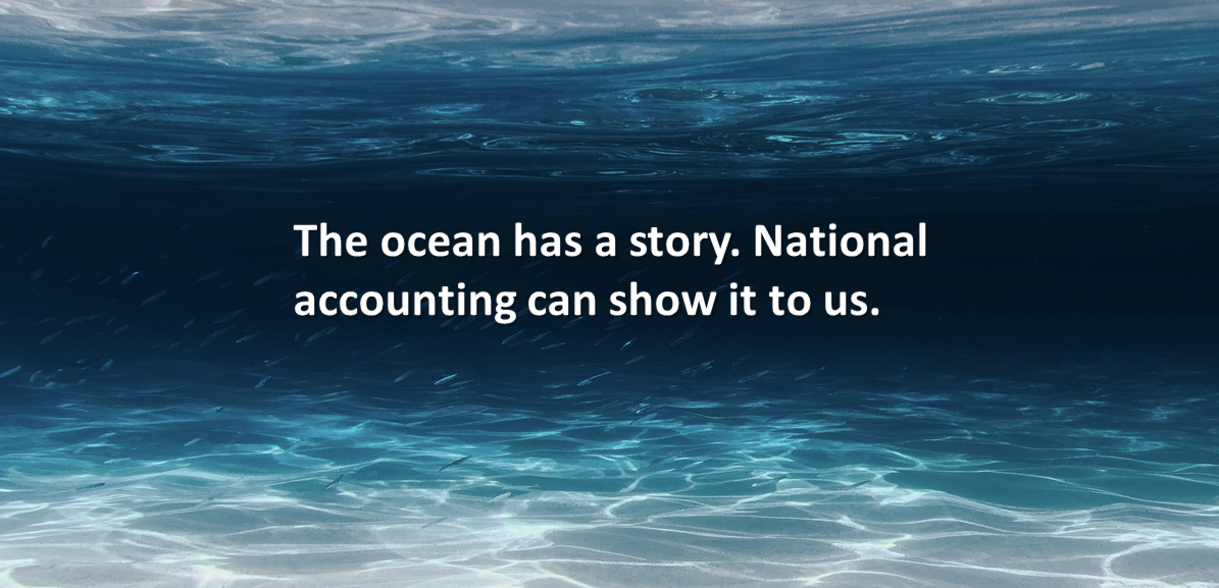 Blue Paper: National Accounting for the Ocean and the Ocean Economy
