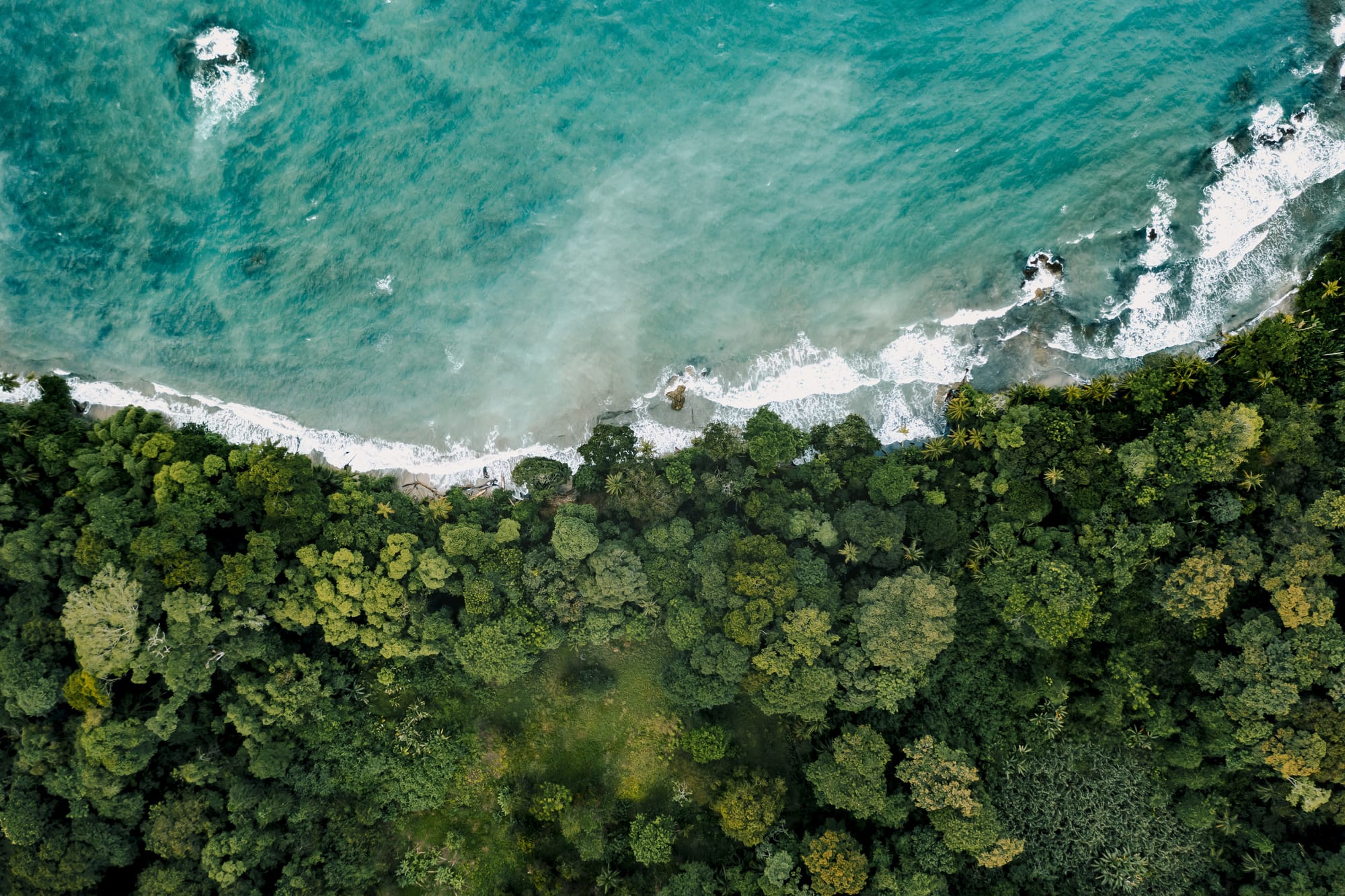 Ocean Accounts Exchange - Building a Blueprint for Action