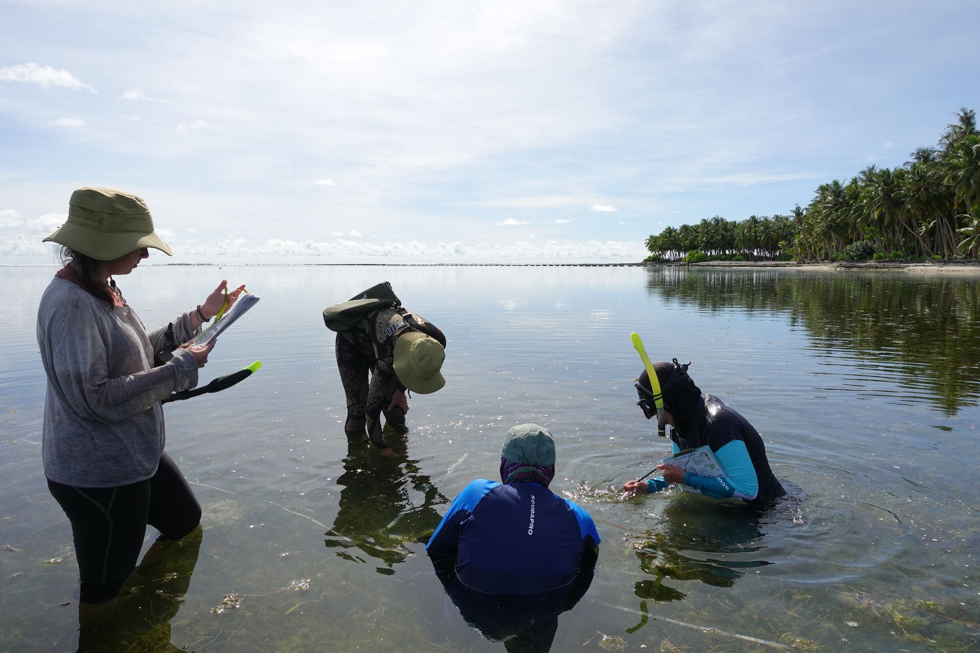 Field visits to Laamu Atoll, March and August, 2023.