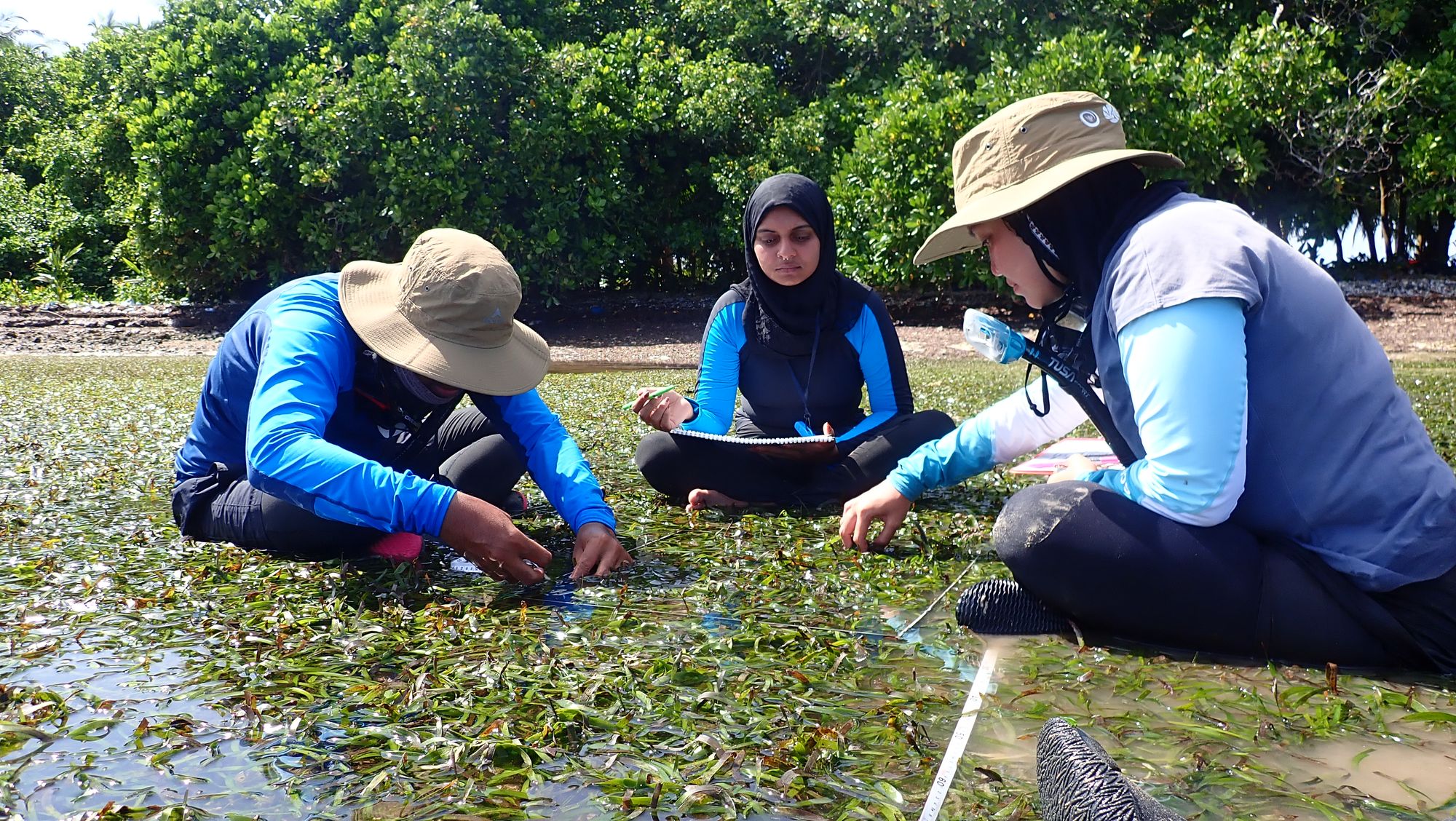 Field visits to Laamu Atoll, March and August, 2023.