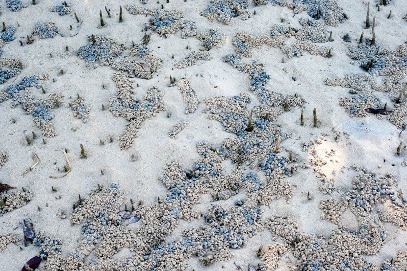 UN Statistical Commission side event: From experimental ocean accounts to SEEA-Ocean