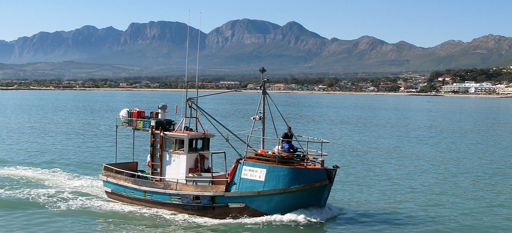 Counting the Blue Rand: Building South Africa's Ocean Economy Satellite Account